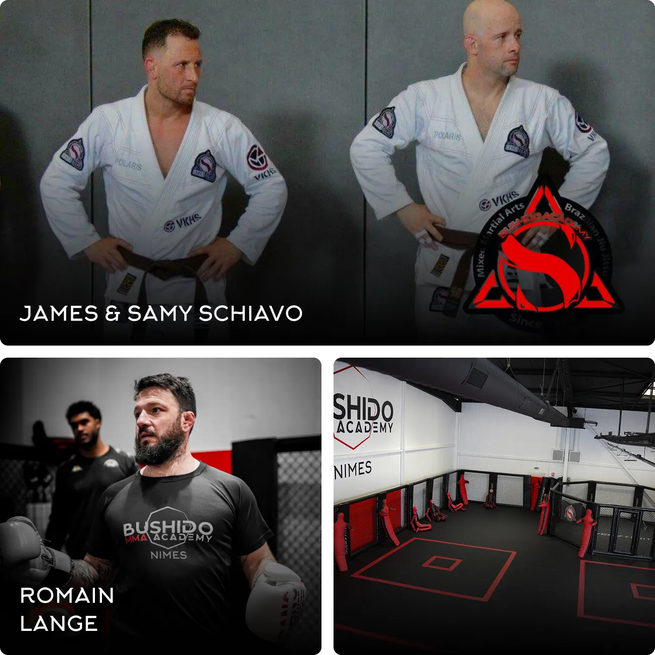 Montage photo_resultat Montage photo_resultat